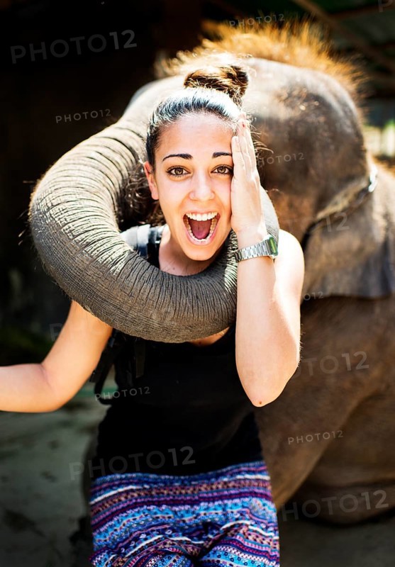 Elephant playing with tourist at an elephant camp