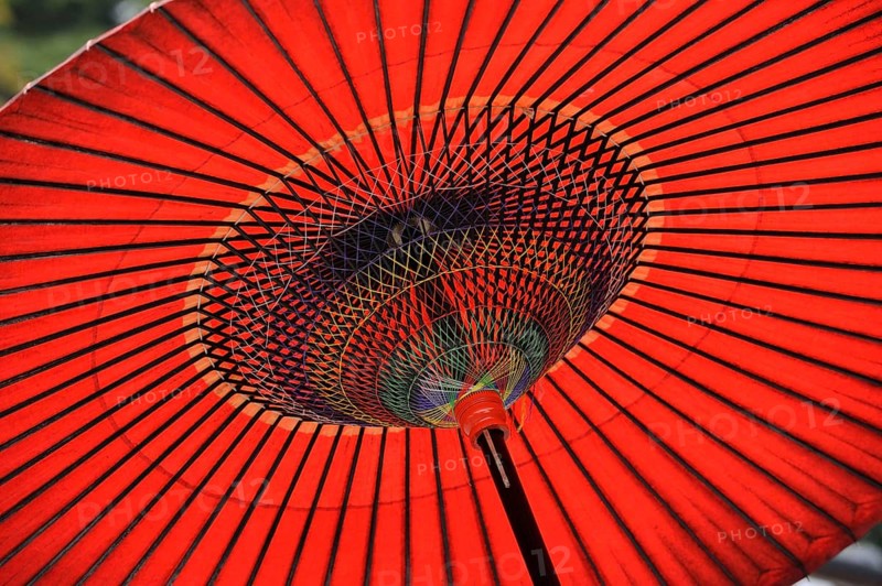 Underside of a spanned Japanese oiled paper umbrella
