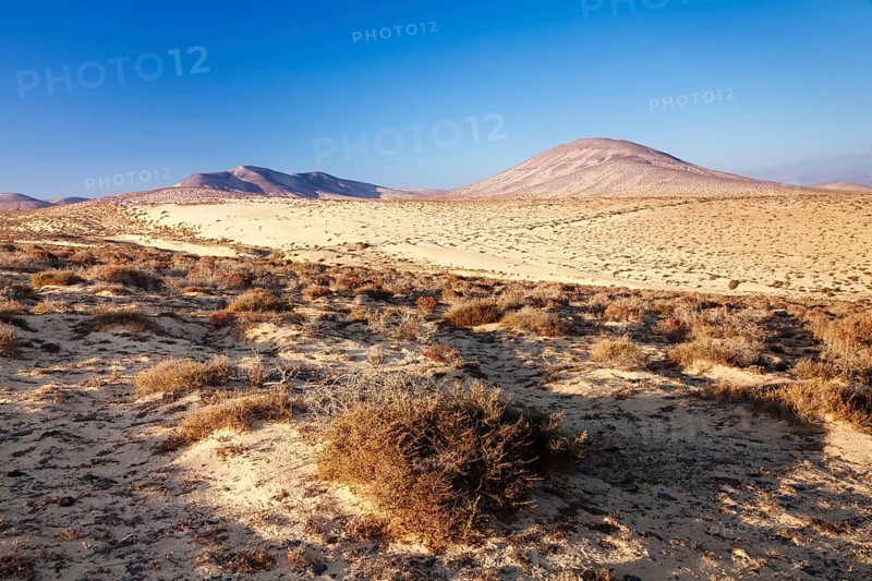 Desertlike landscape