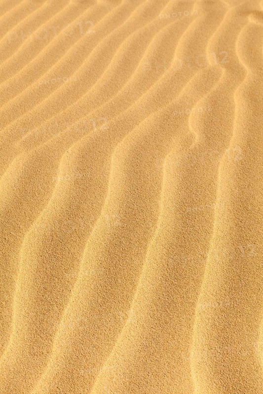 Wave-shaped structure in the sand dunes