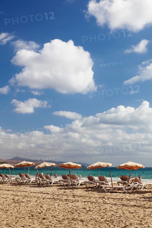 Sun beds and sunshades on the beach