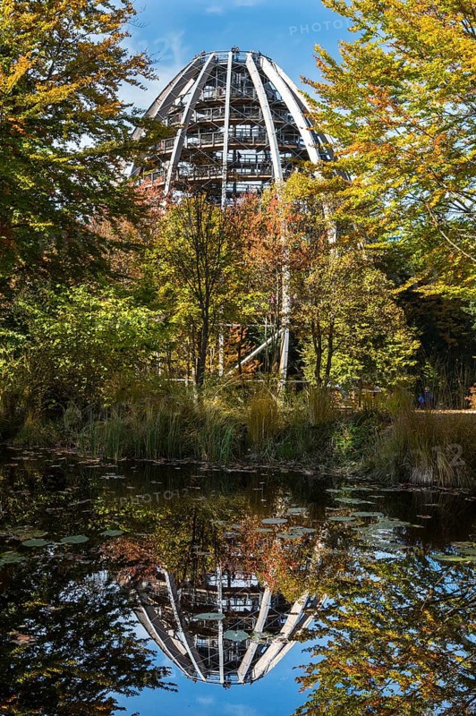 Tree tower