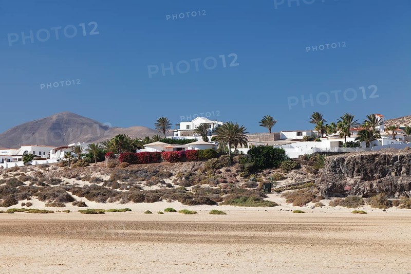 White buildings and palm trees