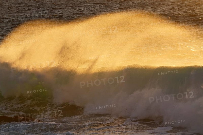 Waves in the evening light
