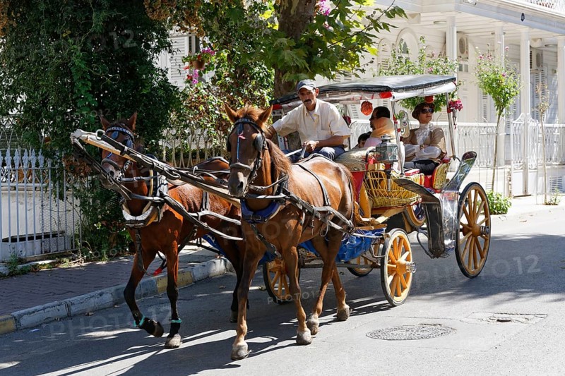 Horse-drawn carriage