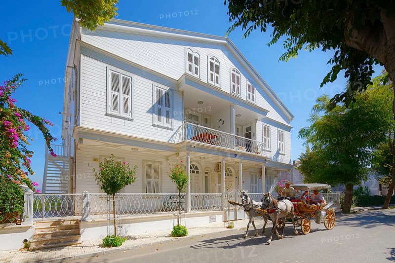 Horse-drawn carriage in front of villa