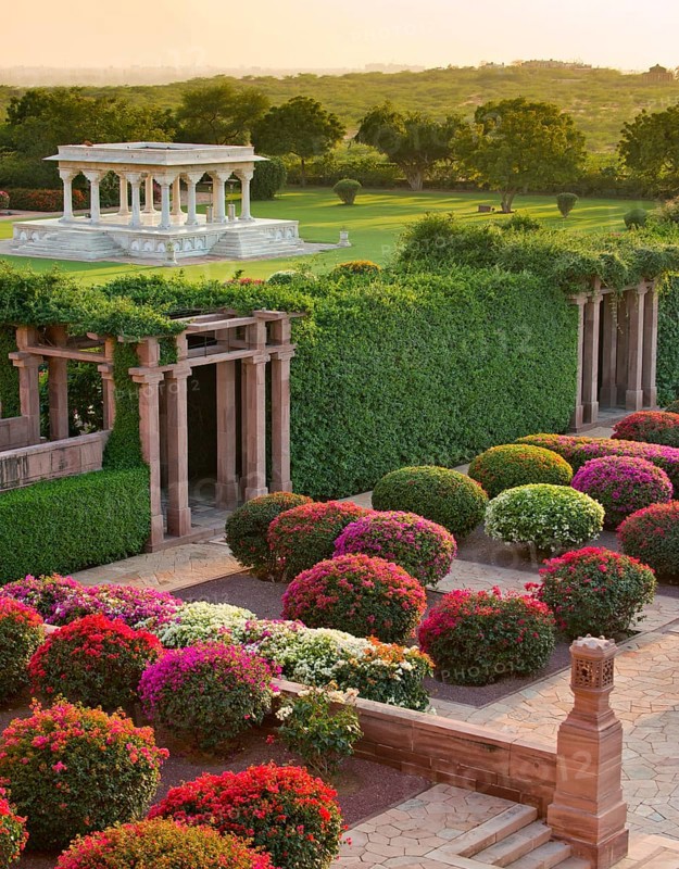 Gardens with colourful bougainvillea bushes