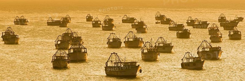 Fishing boats