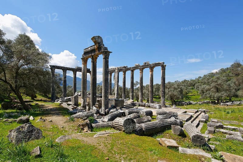 Zeus Temple of Euromos