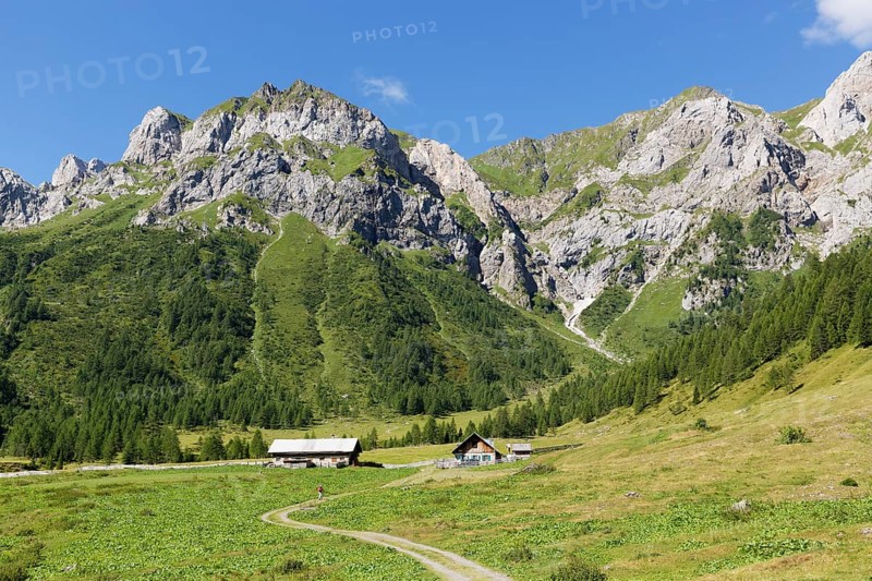 Ingridalm mountain pasture in Frohnbach Valley