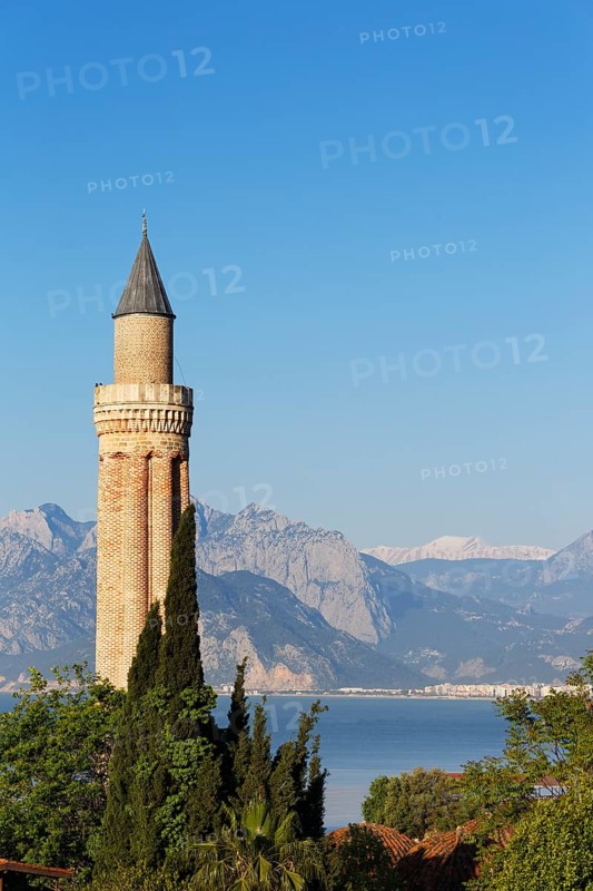Fluted Minaret