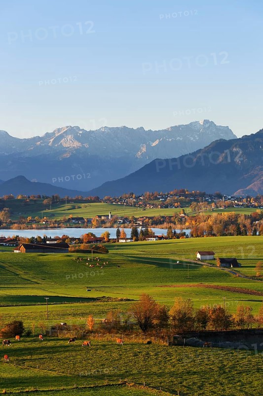 Autumn morning in the foothills of the Alps