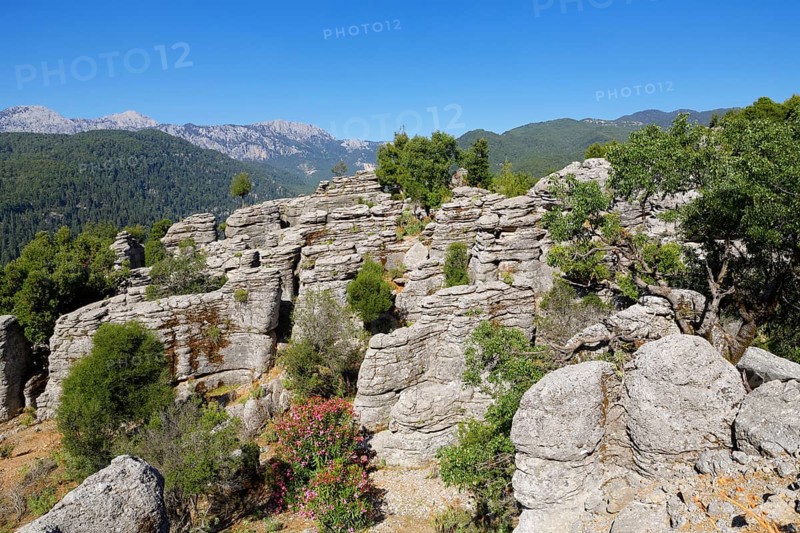 Sedimentary rocks