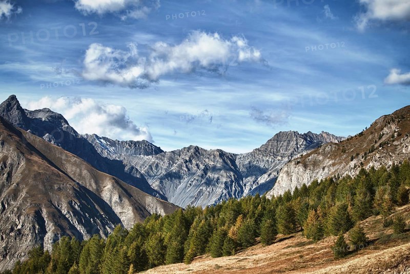Valley Val Viera
