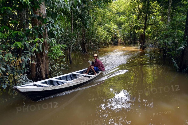 Wooden boat travelling through the flooded Varzea Forests