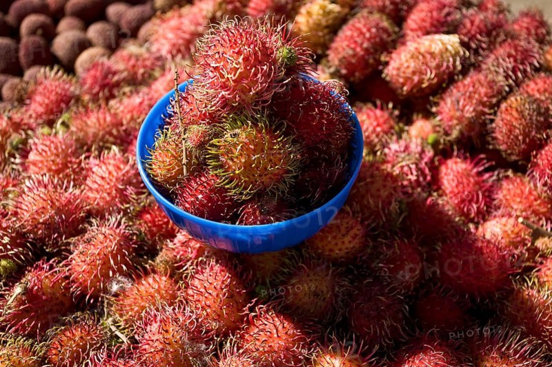 Rambutan fruits at a market