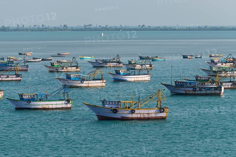 Fishing boats
