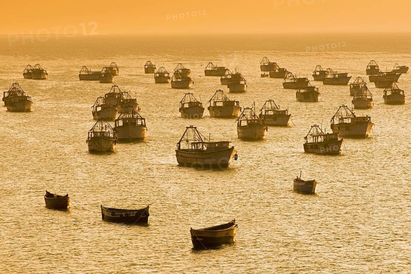 Fishing boats