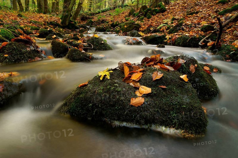 Nidda river in autumn