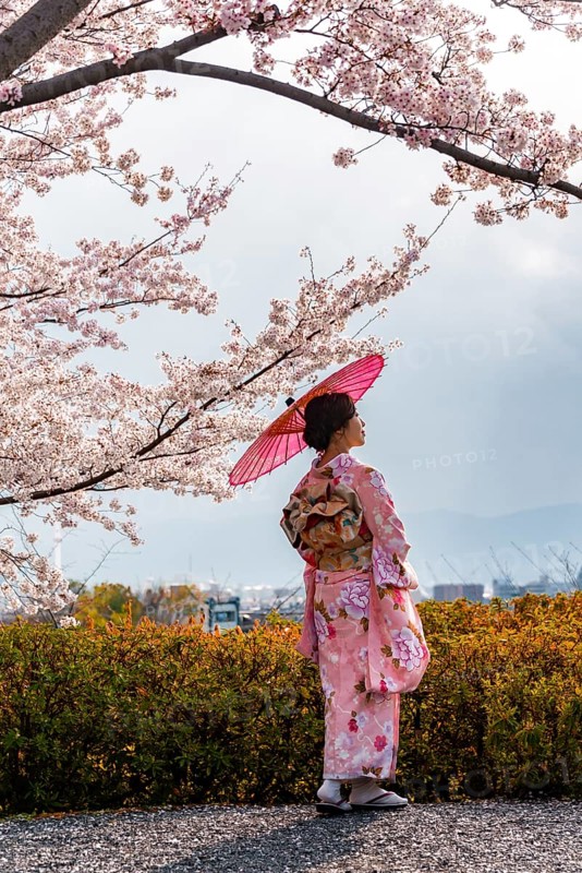 Japanese woman in traditional clothes