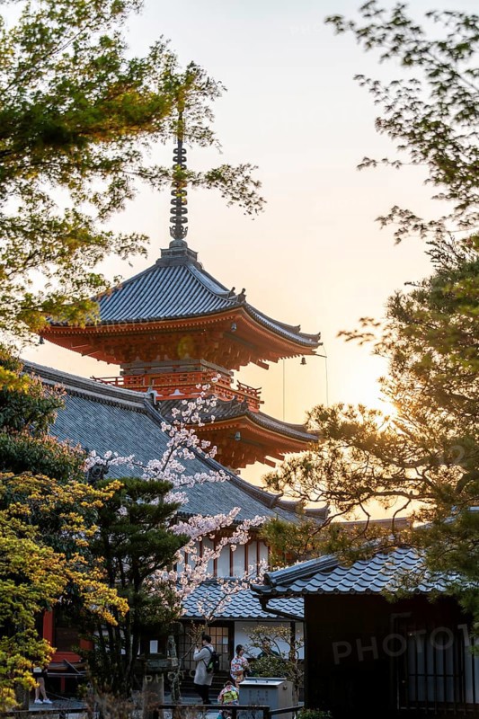 Pagoda of the Kiyomizu-dera Temple