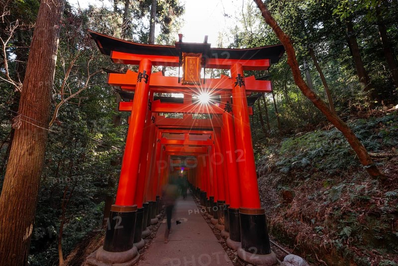 Fushimi Inari Taisha