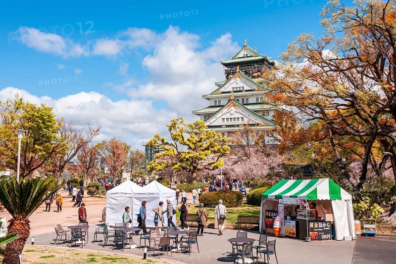 Japanese Castle