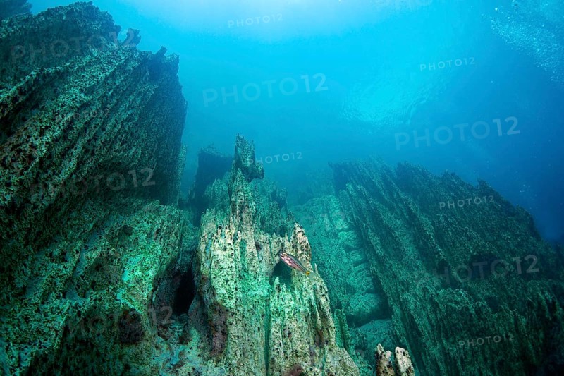 Barracuda Lake