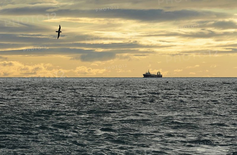 Ship in the Isfjorden fjord