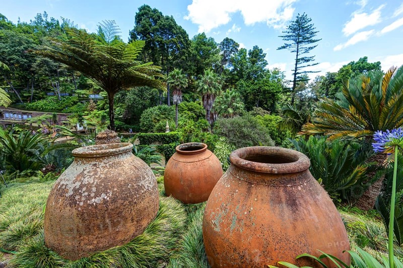 Jardim Botanico da Madeira or Botanical Garden