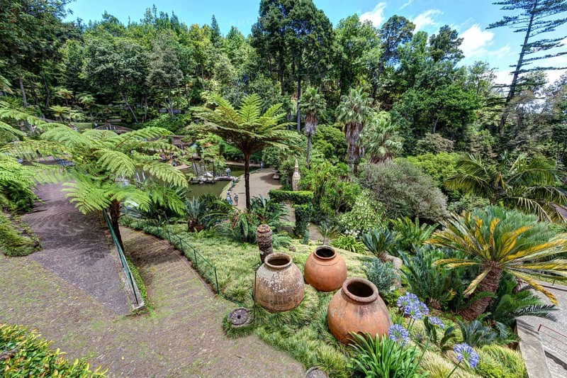 Jardim Botanico da Madeira or Botanical Garden