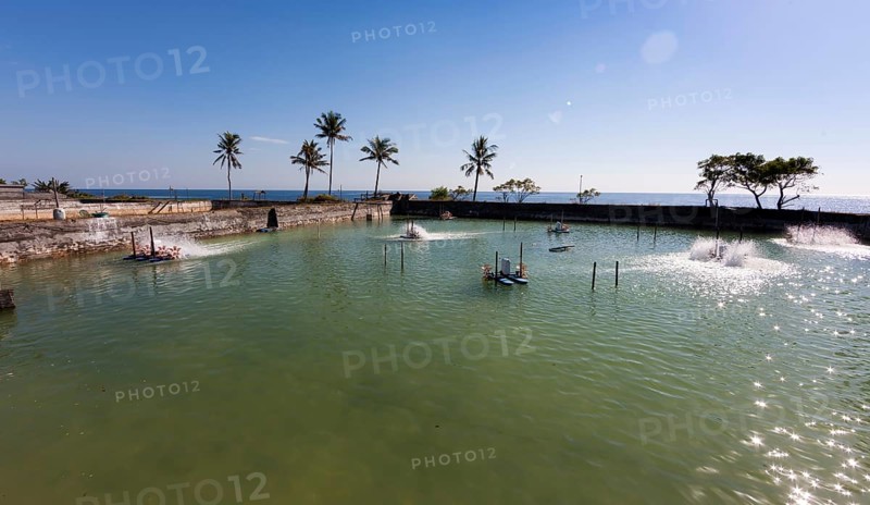 Basin of a shrimp farm