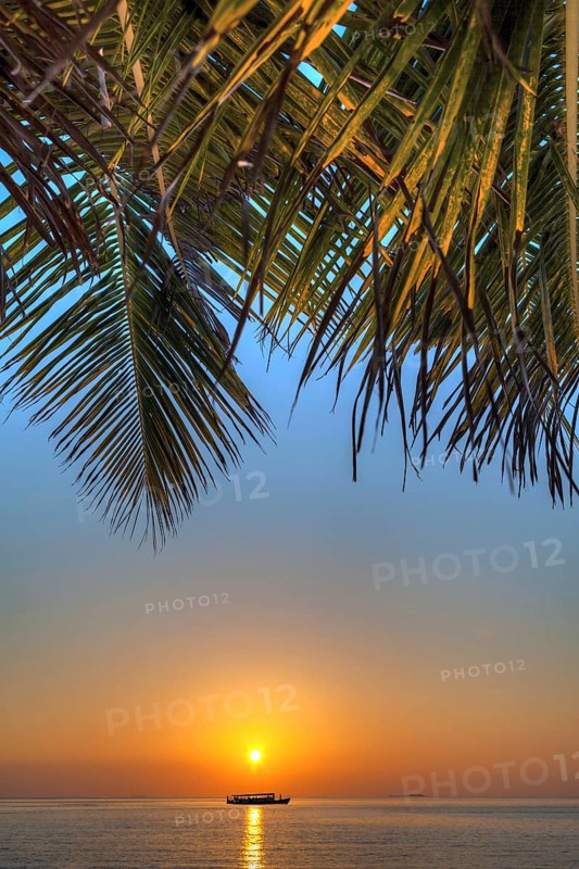 Sunset with a Dohni