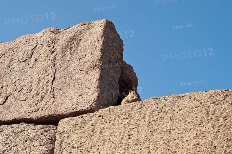Stone blocks