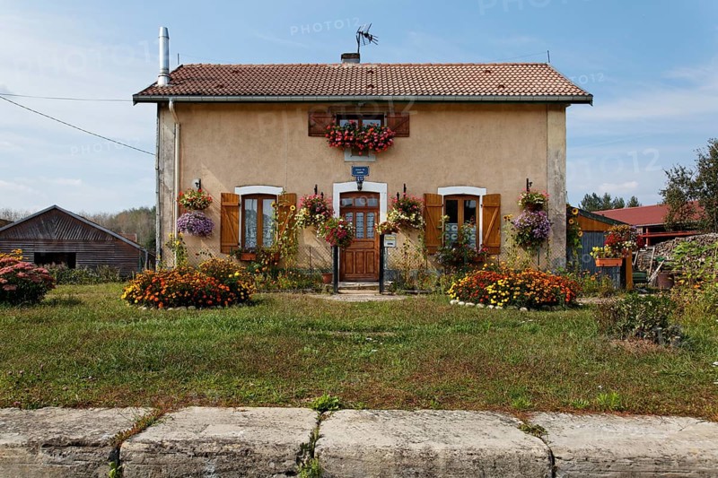 House with many flowers