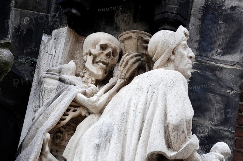 Skeleton
