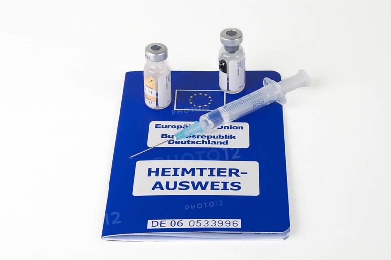 A syringe and vials on an EU pet passport