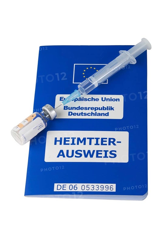 A syringe and a vial on an EU pet passport