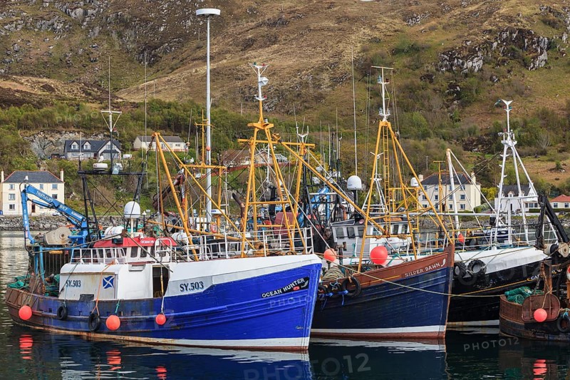Fishing boats in the harbour of Mallaig