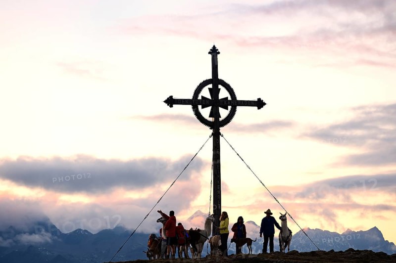 Lama tour to the summit of Ederplan Mountain in the Defregger Group