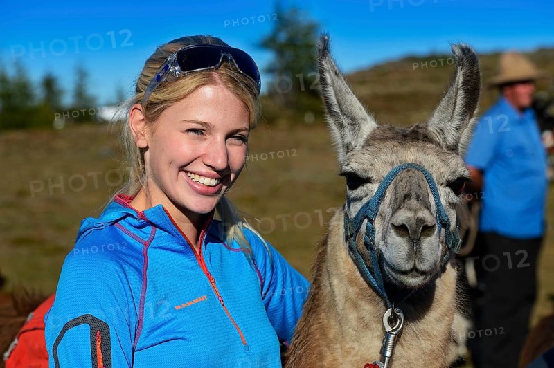 Tourist during a llama tour to the summit of Boeses Weibele Mountain in the Defregger Group