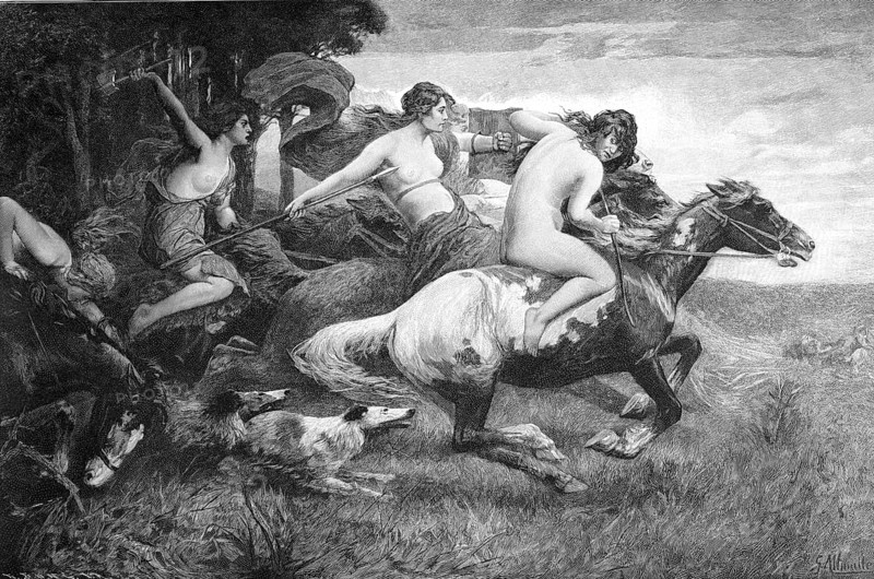 Amazons'
