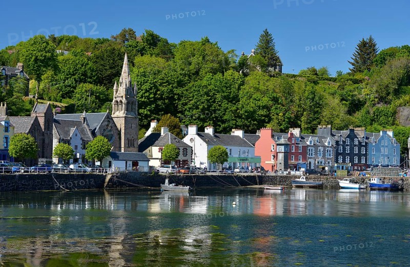 Houses on the harbour