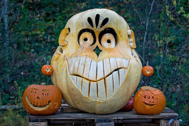 Face carved into a large pumpkin