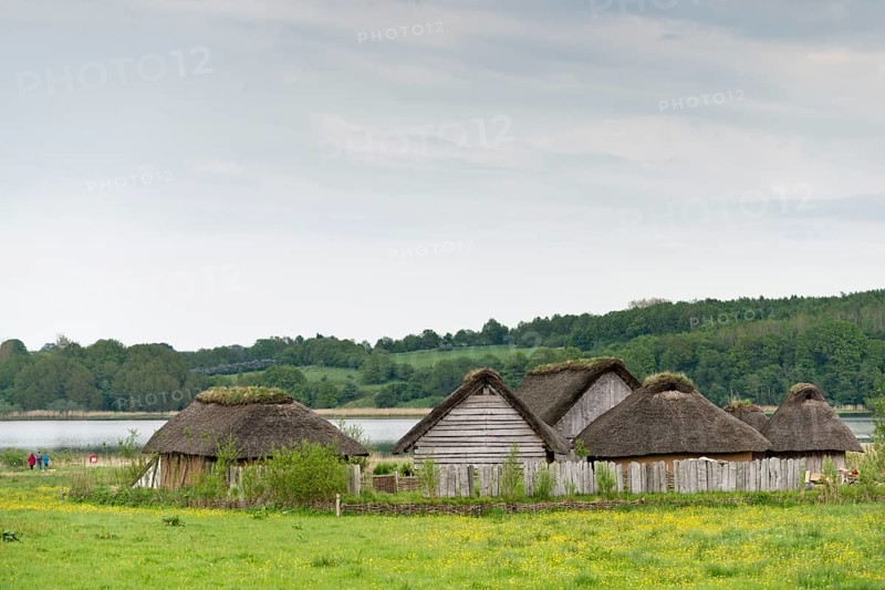 Reconstructed Viking houses with thatched roofs