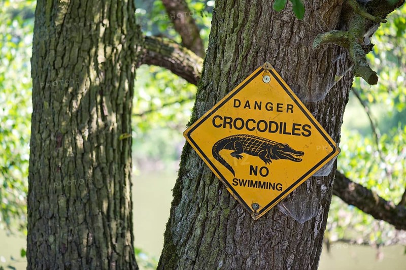 Warning sign 'Danger crocodiles No swimming' on a tree
