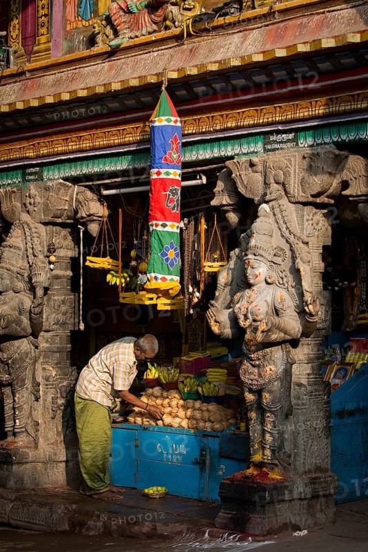 Stall and vendor
