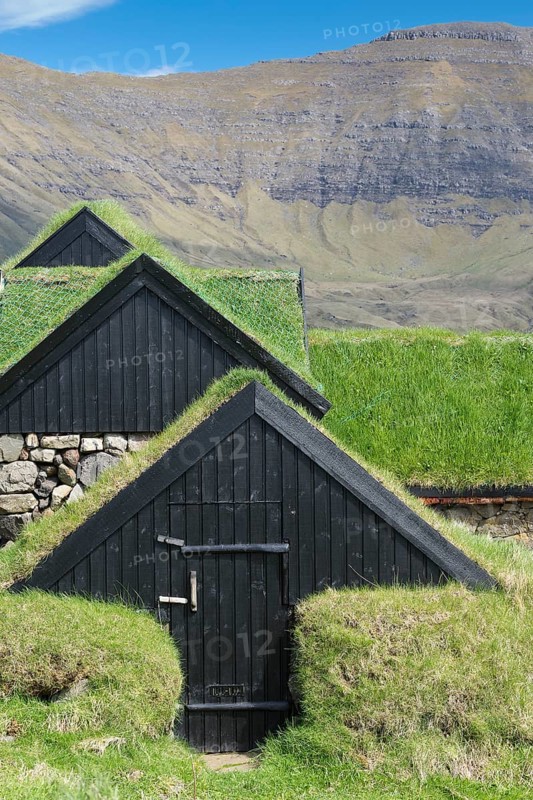 Traditional turf houses