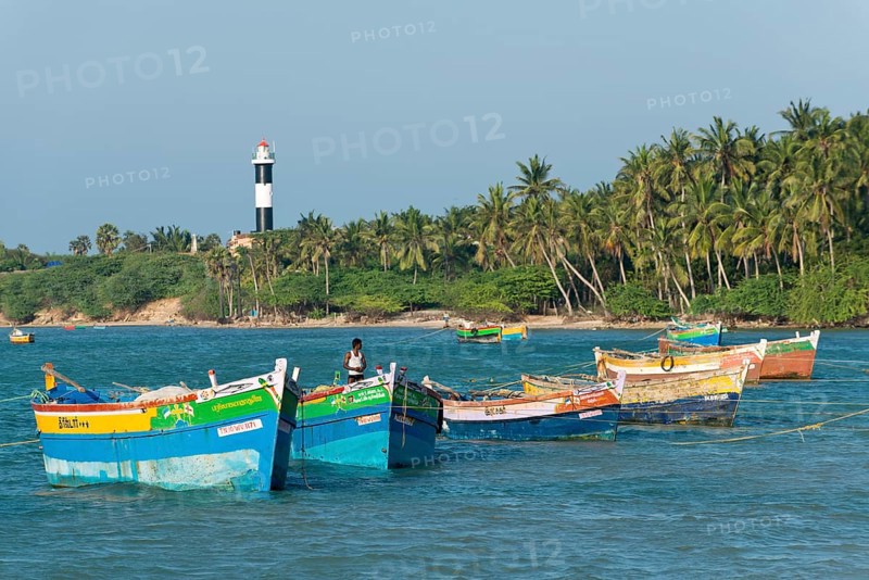 Colourful fishing boats and palm trees