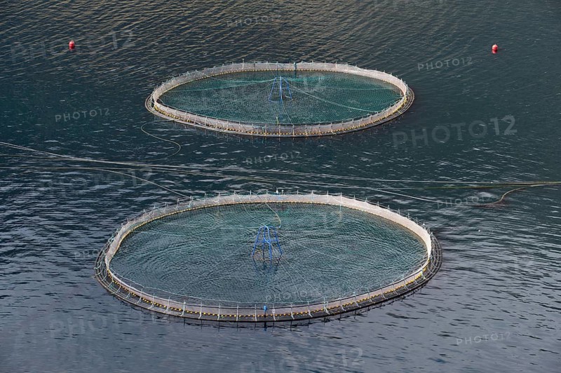 Fish farm